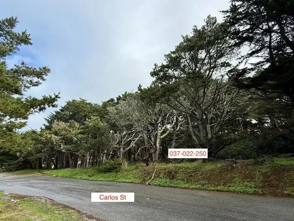 37022250 Carlos, Moss Beach, CA 94038