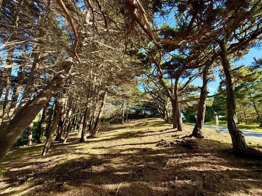 37022250 Carlos, Moss Beach, CA 94038 - #2