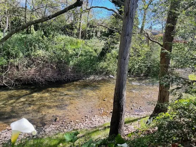 3060 Porter Street, Soquel, CA 95073 - #2