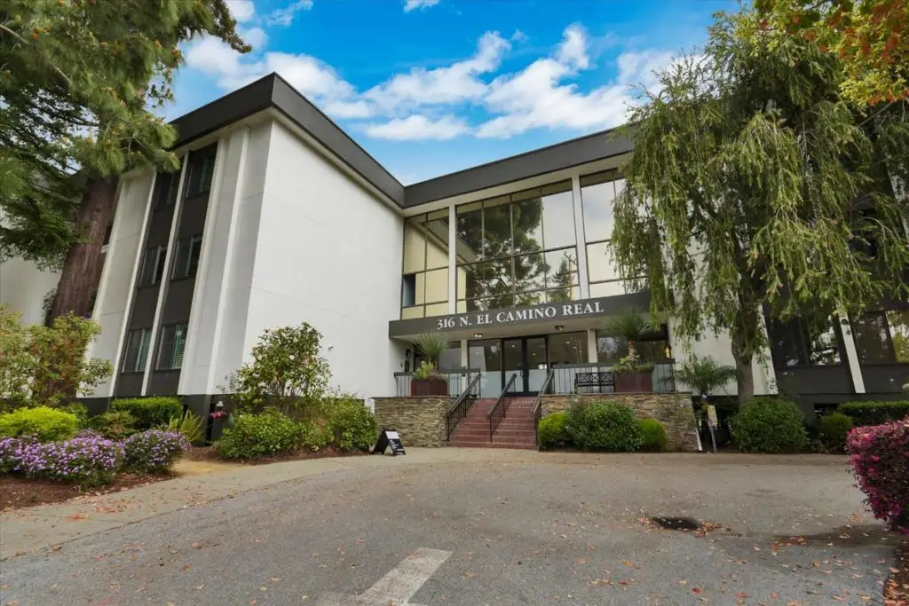 316 N El Camino Real #217, San Mateo, CA 94401 - #1