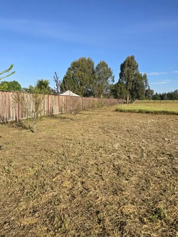 45 Roosevelt Avenue, San Martin, CA 95046 - #3