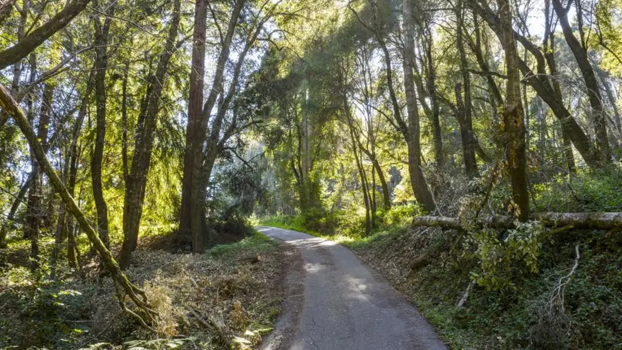 4444 Trout Gulch Road, Aptos, CA 95003 - #3