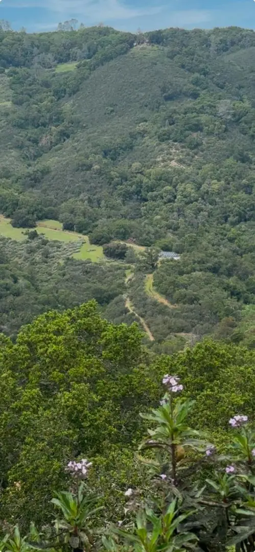 0 O Uvas Road, Morgan Hill, CA 95037