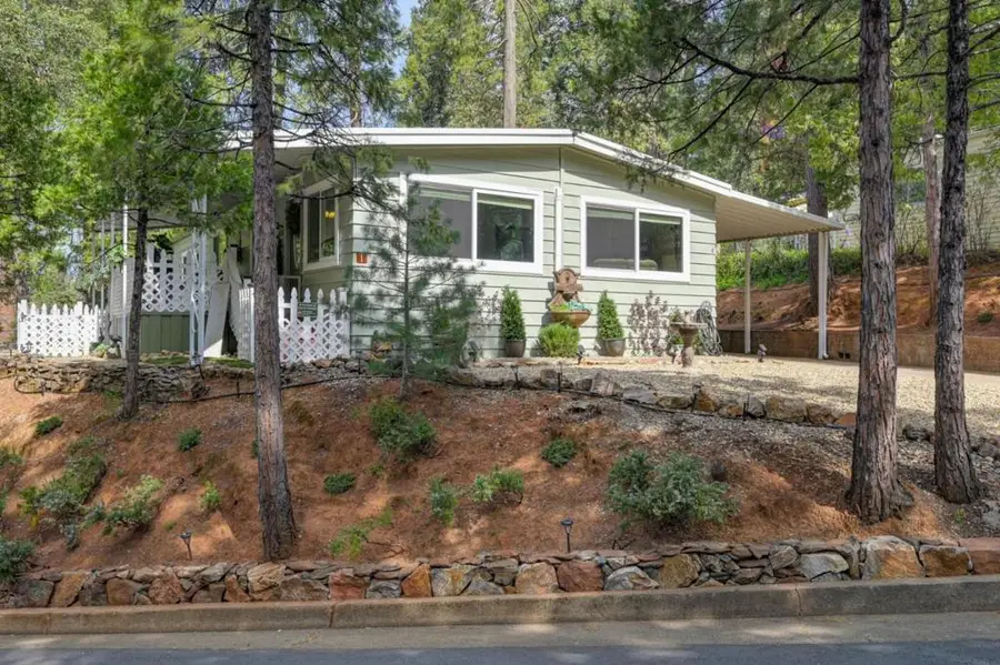 Irishtown Road, Pine Grove, CA 95665 - #2