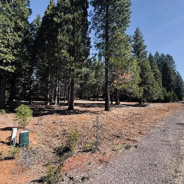 806 Red River Drive, Lake Almanor, CA 96137 - #1
