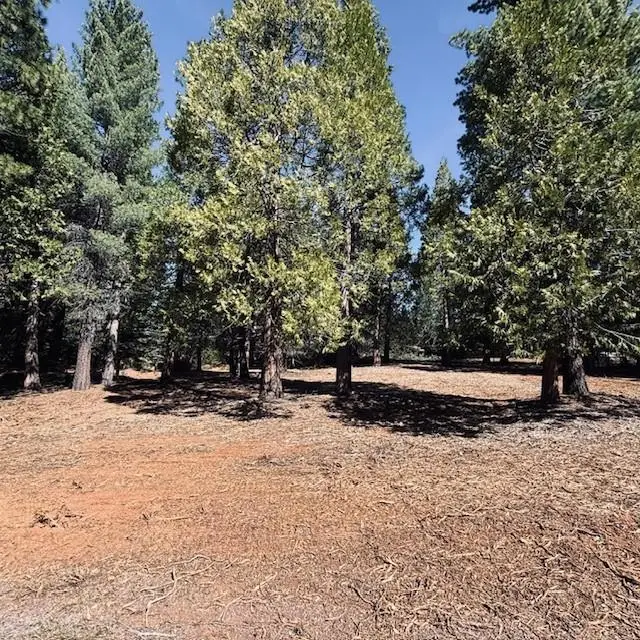 806 Red River Drive, Lake Almanor, CA 96137 - #2