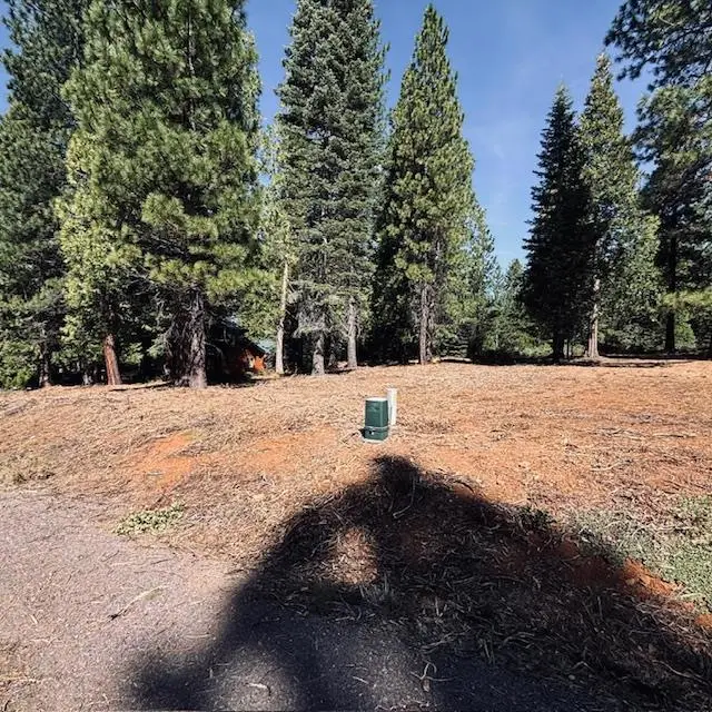 758 Red River Drive, Lake Almanor, CA 96137 - #1