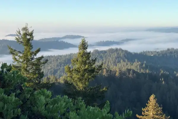 Skyview Ridge Road, Boulder Creek, CA 95006