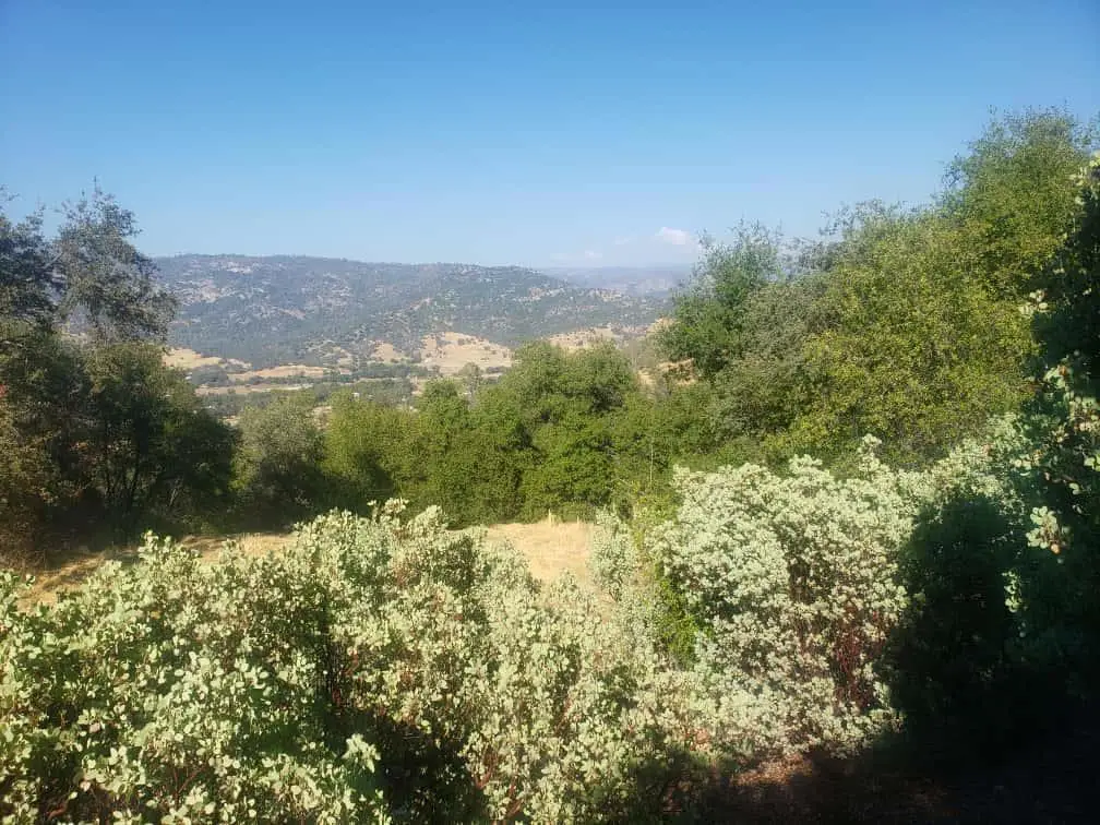 29763 Stoney Creek, Tollhouse, CA 93667 - #1