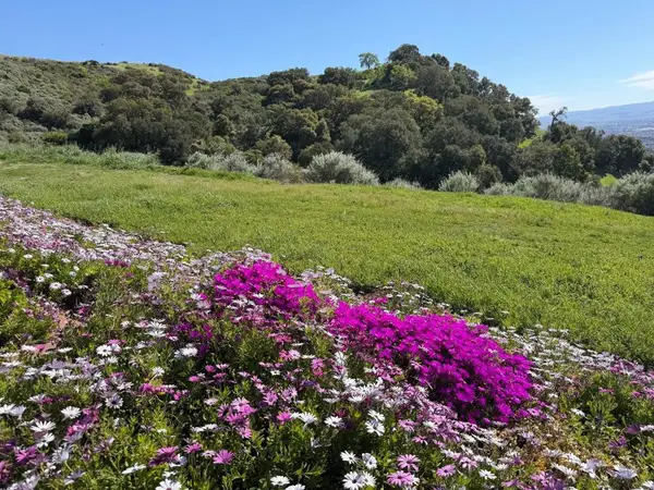 0 Boulder Drive, San Jose, CA 95132