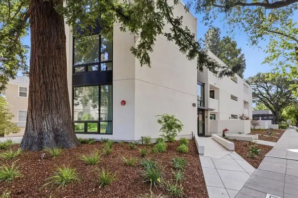 483 Forest Avenue #C, Palo Alto, CA 94301
