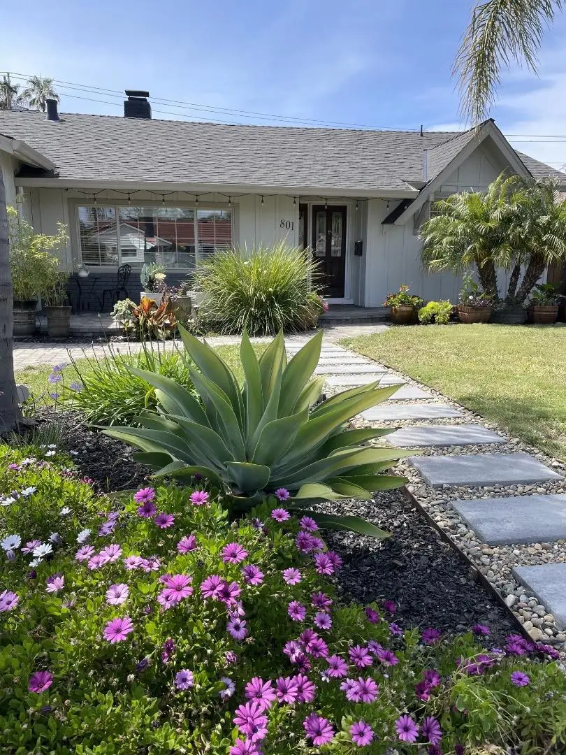 801 Monica Lane, Campbell, CA 95008 - #3