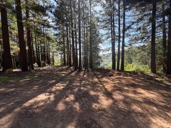 7175 Redwood Retreat, Gilroy, CA 95020