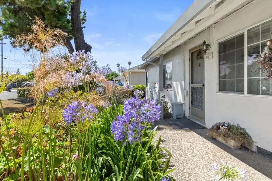 361 Fenley Avenue, San Jose, CA 95117 - #2