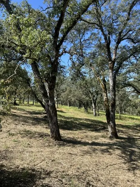 1100 Firth Way, El Dorado Hills, CA 95762