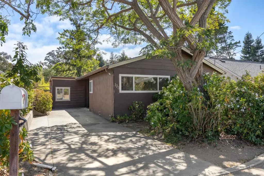 133 Echo Street, Santa Cruz, CA 95060 - #1