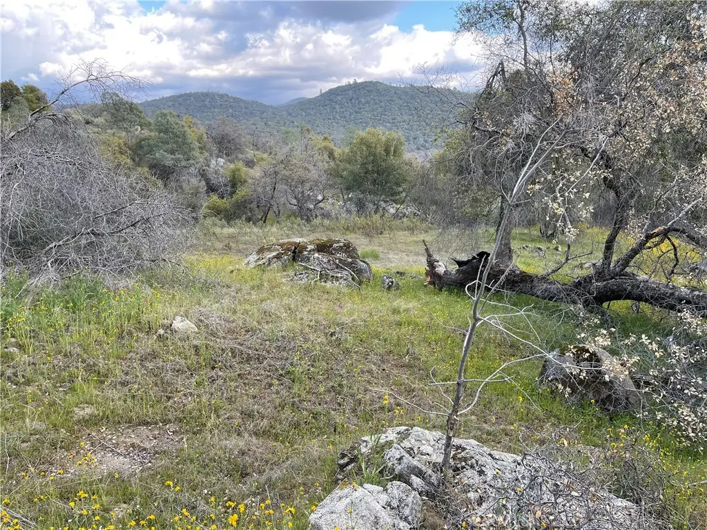 3786 Bronco Hollow Rd, Mariposa, CA 95338 - Image #1