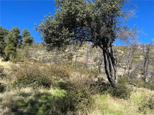 0 Triangle Road, Mariposa, CA 95338