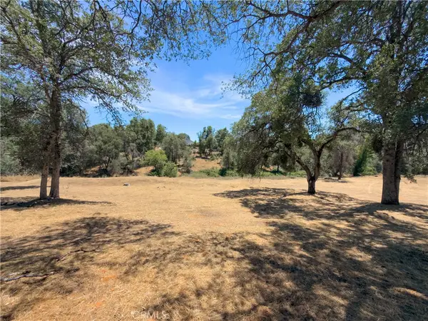 1 Spriggs, Mariposa, CA 95338