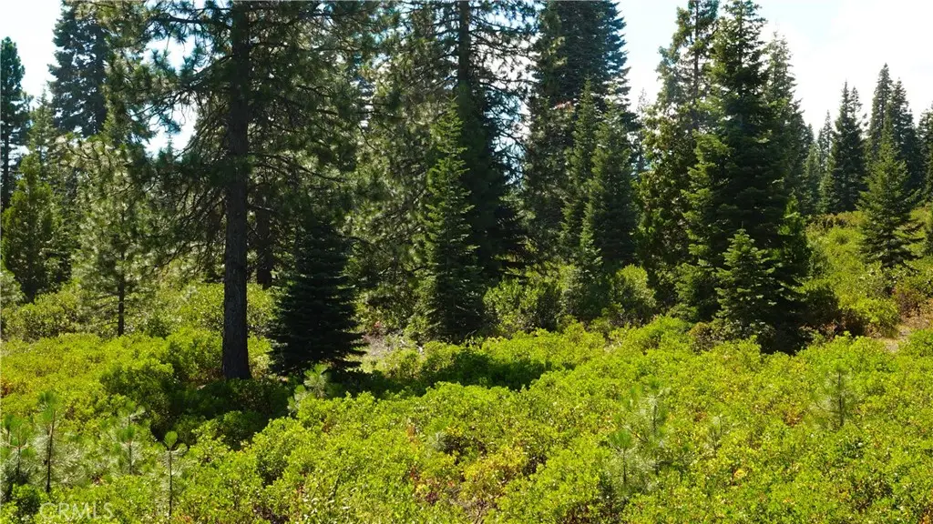 0 Echo Way, McCloud, CA 96057 - Image #1