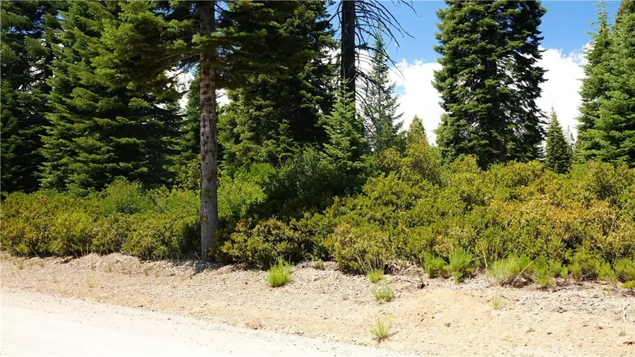 0 Echo Way, McCloud, CA 96057 - Image #3