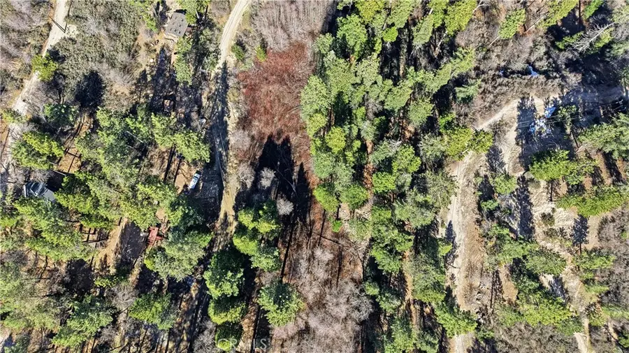 0 Little Bear Creek, Cedar Glen, CA 92321 - #3