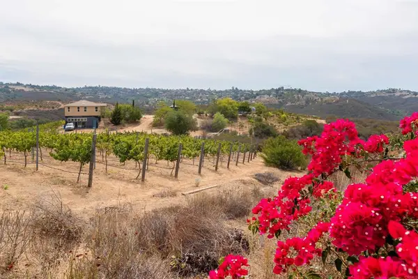 1738 Via De Lago, Fallbrook, CA 92028