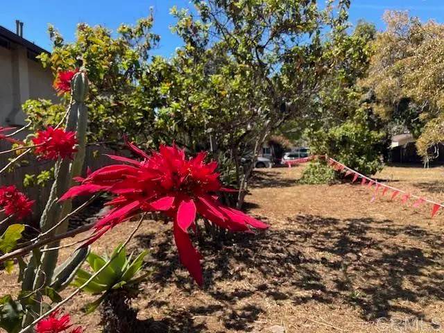 3328 Roosevelt Street, Carlsbad, CA 92008 - #1