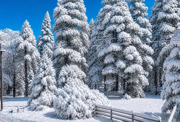 .29 / Crestline Road, Palomar Mountain, CA 92060