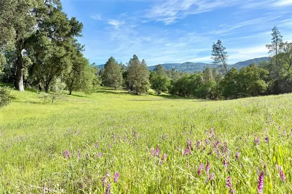 75370 Turkey Lane, Bradley, CA 93426