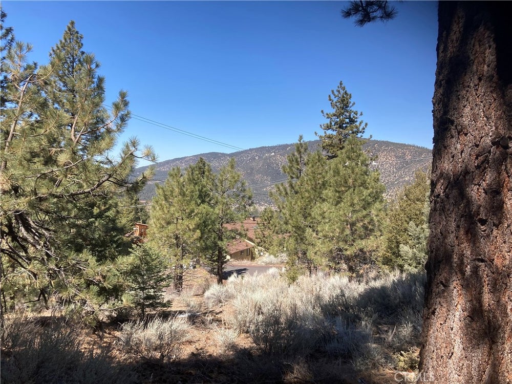 15125 Chestnut Drive, Pine Mountain Club, CA 93222 BHGRE