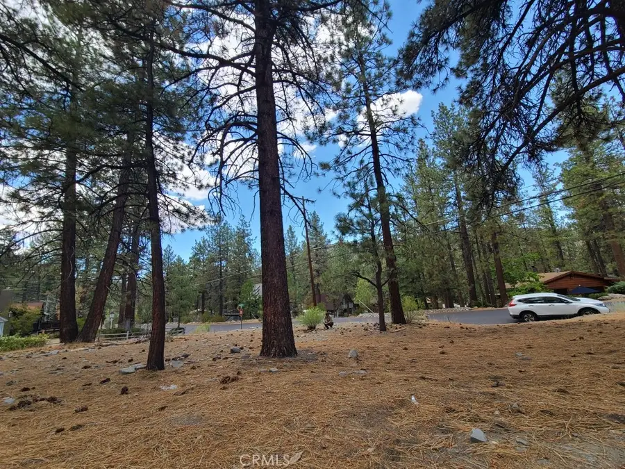 0 Lodgepole Drive, Wrightwood, CA 92397 - #2