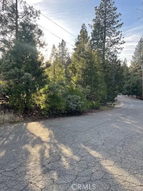 6172 Shad Way, Pollock Pines, CA 95726 - #2