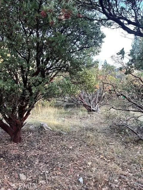 6172 Shad Way, Pollock Pines, CA 95726 - #3