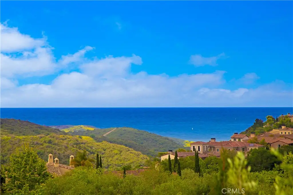 6 Canyon Peak, Newport Coast, CA 92657 - #1