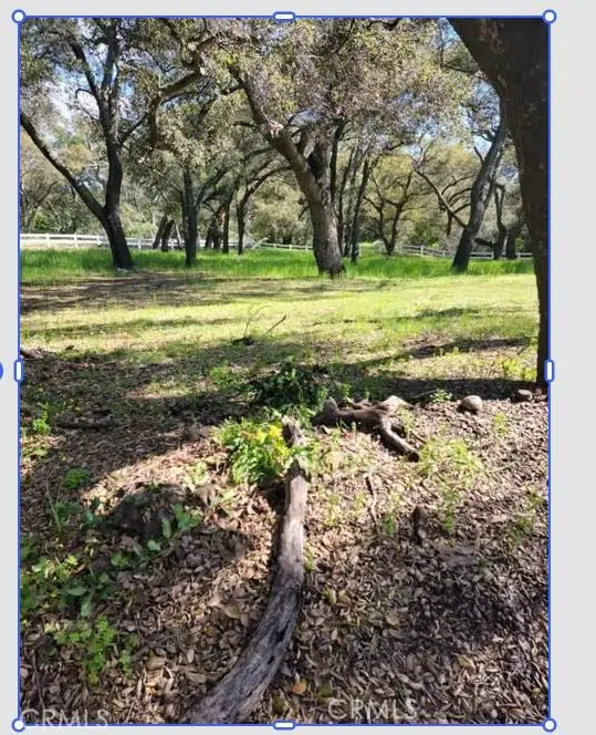 19411 Live Oak Canyon, Trabuco Canyon, CA 92679 - #2