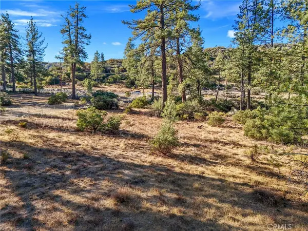 1 Pipe Creek Road, Mountain Center, CA 92561
