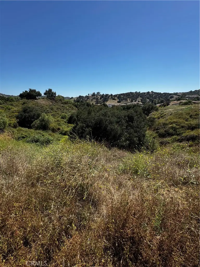 15897 Oak Tree, Chino Hills, CA 91709 - #1