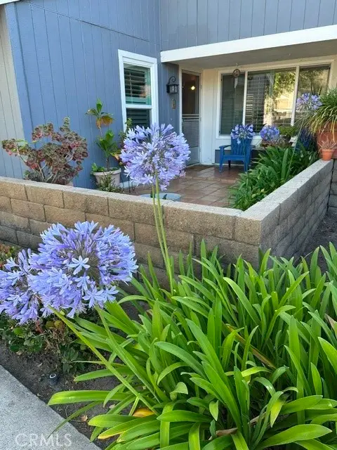 29562 Brook Court, San Juan Capistrano, CA 92675 - #1