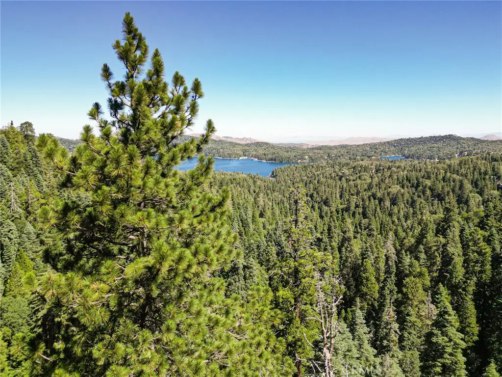 746 Blue Ridge Drive, Lake Arrowhead, CA 92385 - #1
