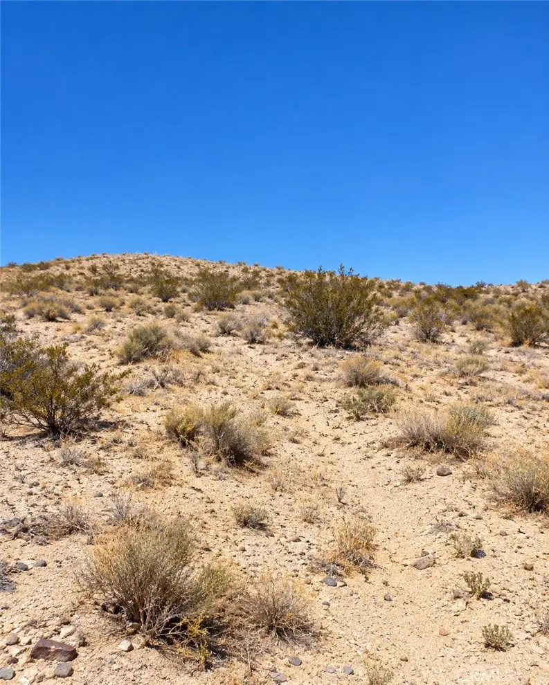 1 2 Mile, Twentynine Palms, CA 92277 - #1