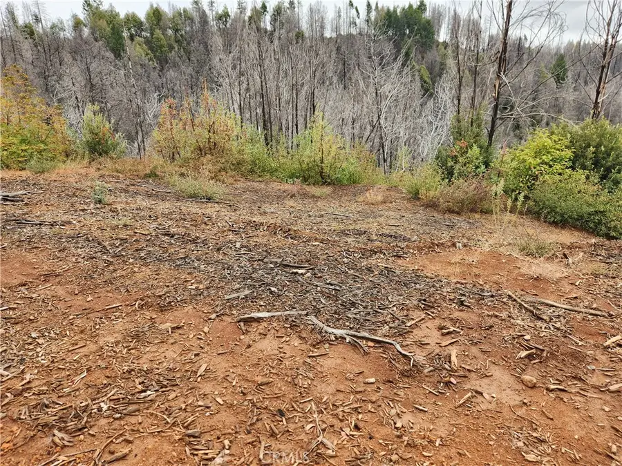 0 Oro-quincy, Berry Creek, CA 95916 - Image #2