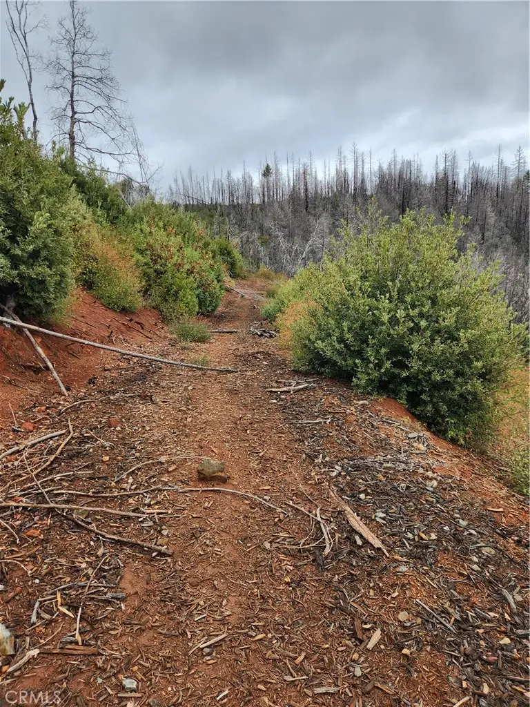 0 Oro-quincy, Berry Creek, CA 95916 - Image #3