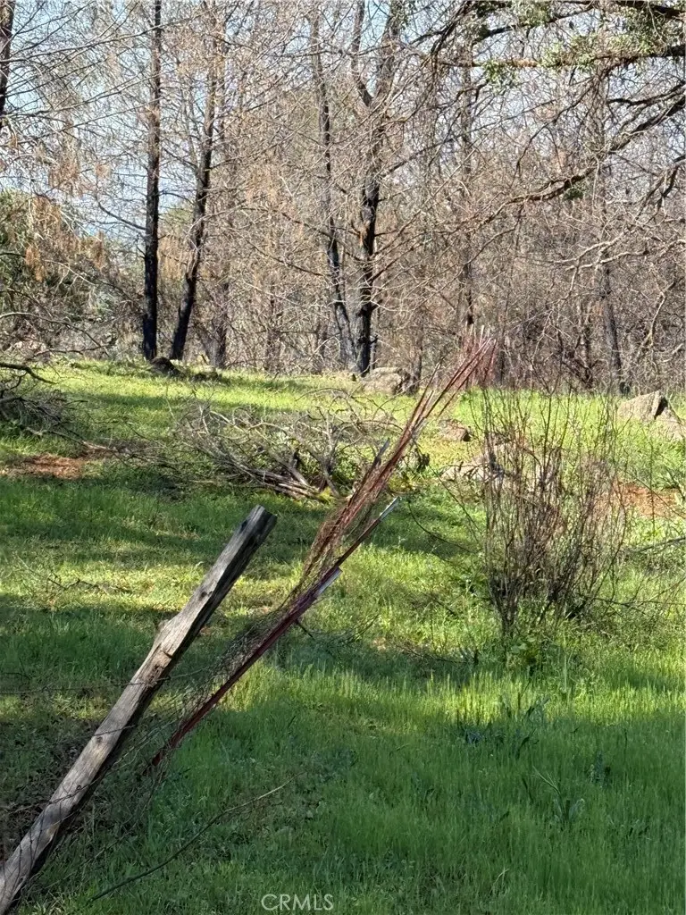 522 Galen Ridge, Berry Creek, CA 95916 - #2