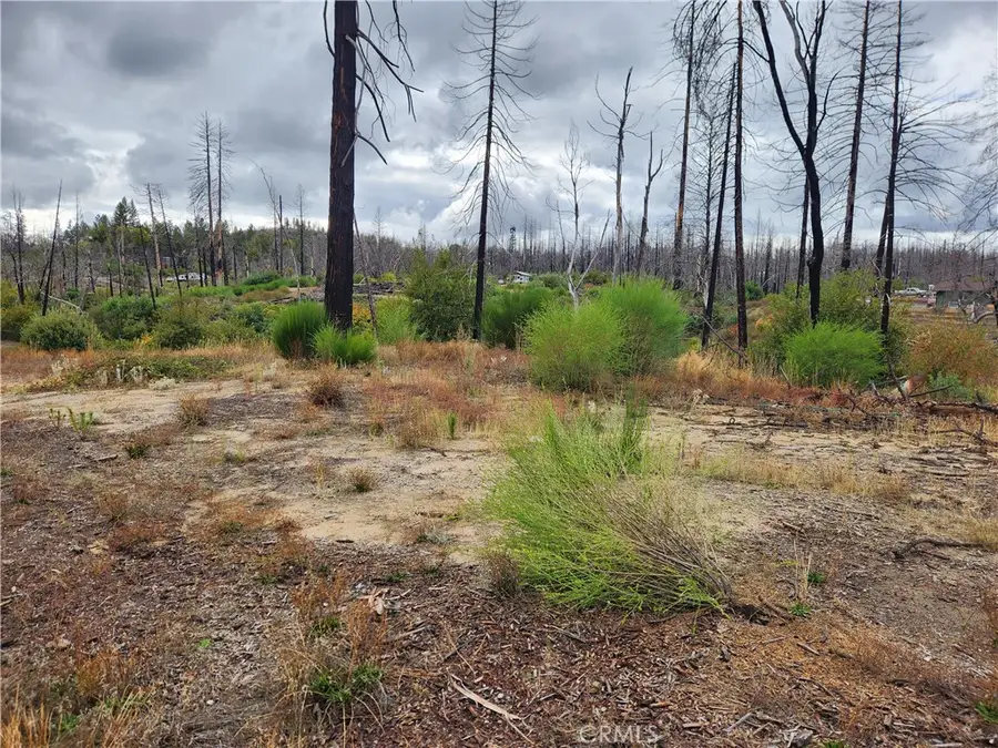 1103 Bald Rock Road, Berry Creek, CA 95916 - #3