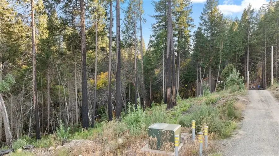 0 Path In The Woods, Berry Creek, CA 95916 - Image #2