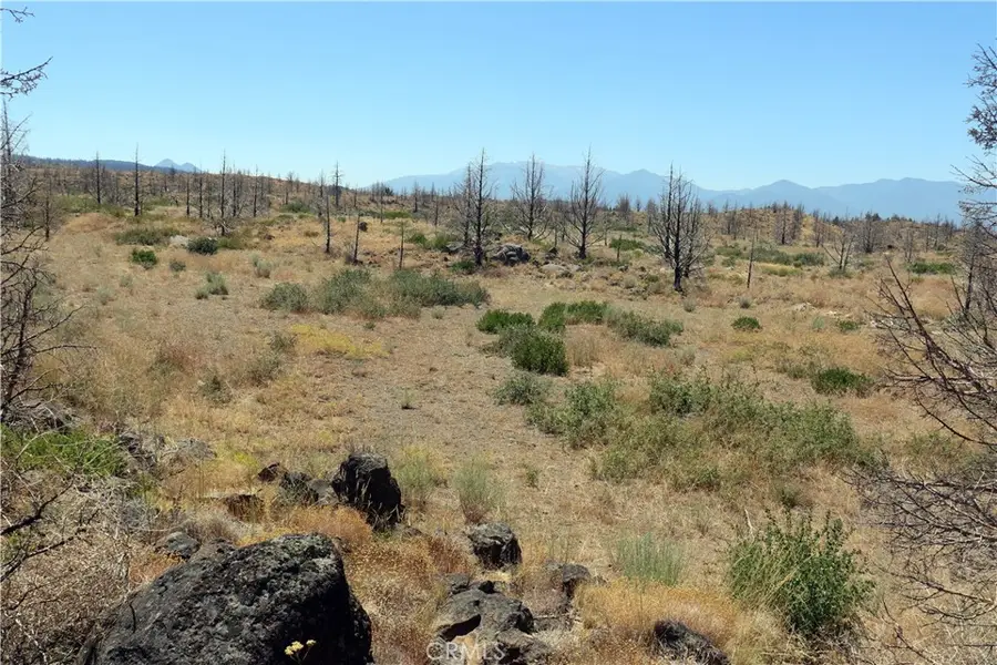 0 Juniper Valley Drive, Weed, CA 96094 - Image #3