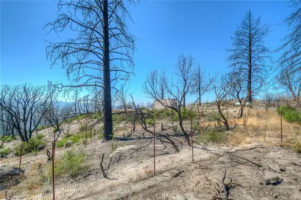 315 Harrison Springs, Berry Creek, CA 95916