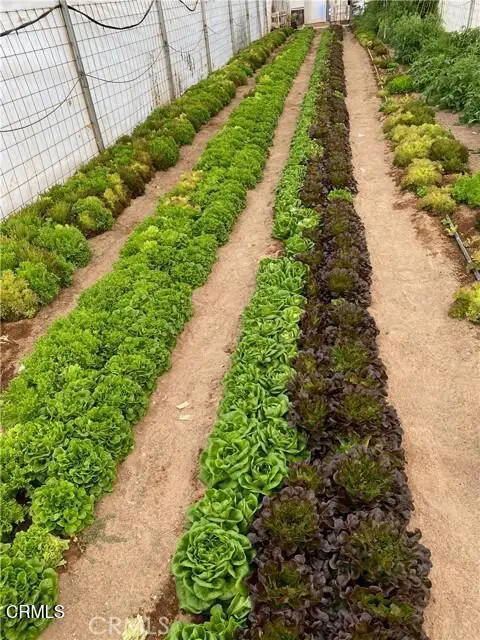 691 Desert Trail Way, Tecopa, CA  - Image #3