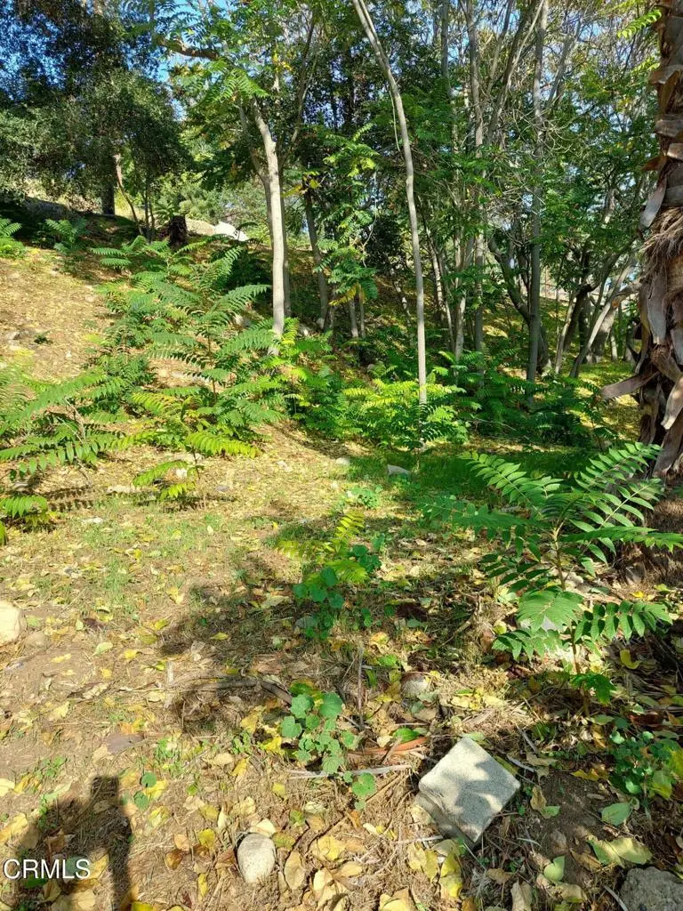 200 S Avenue 63, Los Angeles, CA 90042 - #3